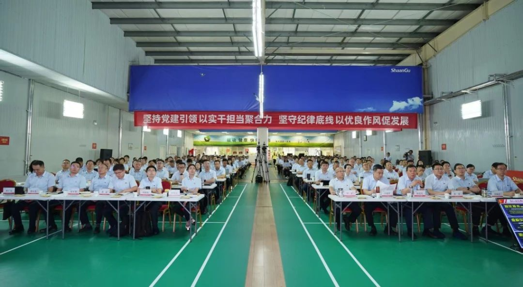 陕鼓集团召开七一主题党日活动暨警示教育会议